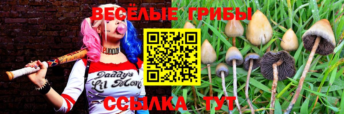 Галлюциногенные грибы GOLDEN TEACHER  Вход с VPN  Первоуральск 
